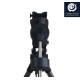 iOptron CEM70 Center Balanced Equatorial GoTo Mount